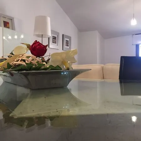 Turisticos Torico Amantes *