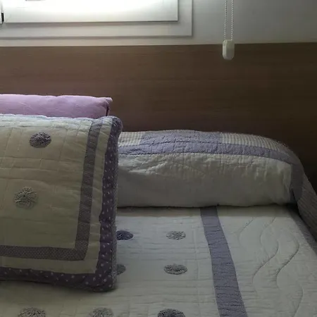 Turisticos Torico Amantes