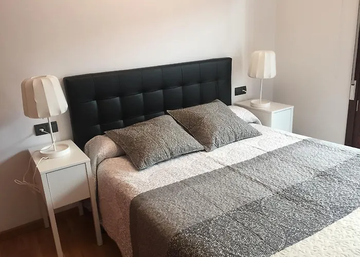 Turisticos Torico Amantes